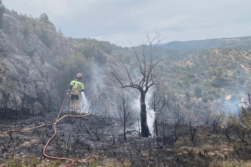 Bomberos del Parque de Alcañiz de la DPT extinguen un incendio entre Alcorisa y Mas de las Matas