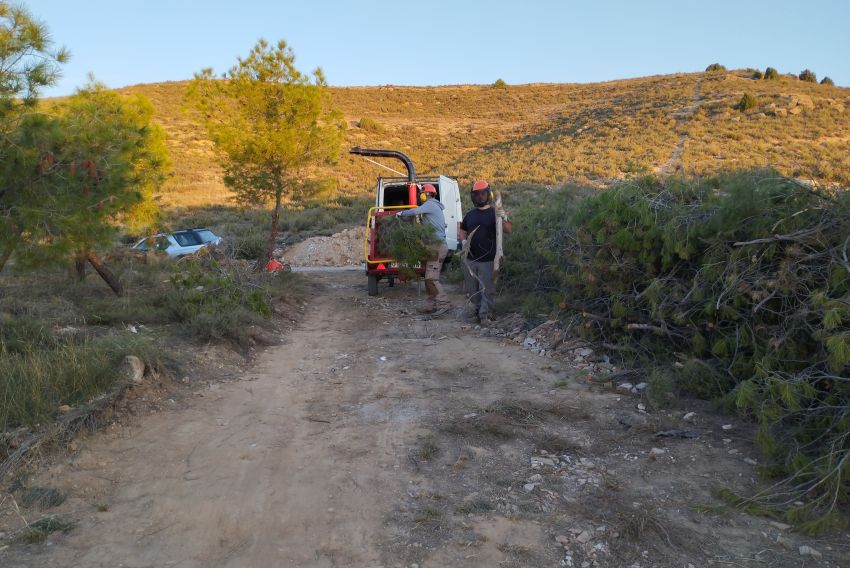 Andorra mejora sus montes con el trabajo de tres jóvenes contratados