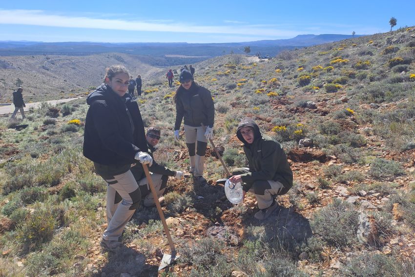 Jornada de plantación de árboles en Ejulve para mitigar la huella de carbono de la Silent Route