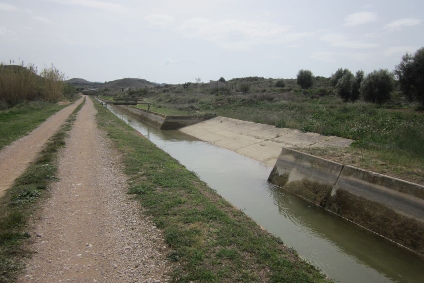 El Canal Calanda-Alcañiz y el alimentador de La Estanca, unas trampas mortales para la población de corzos