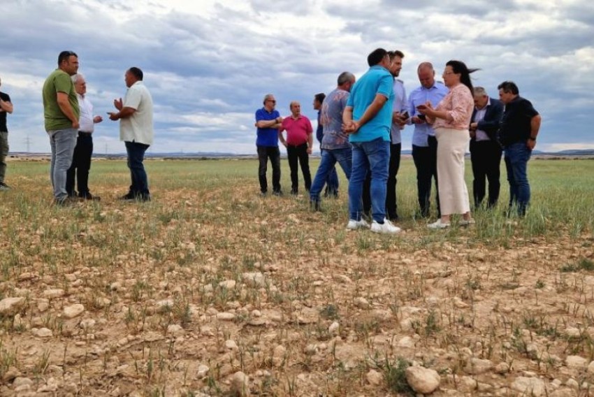 Agricultura delimita las comarcas agrarias afectadas por la sequía, cinco de ellas turolenses