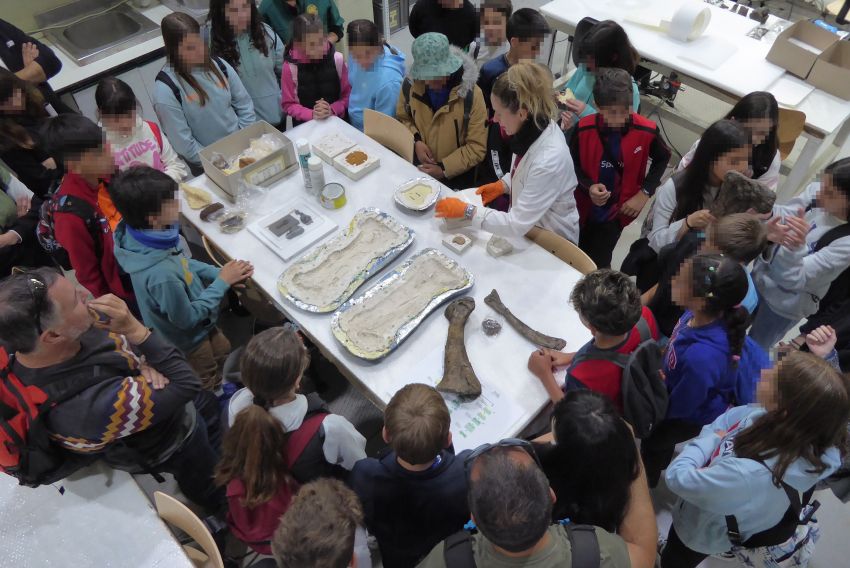 Un viaje alucinante a la trastienda de los fósiles en el Día Internacional de los Museos