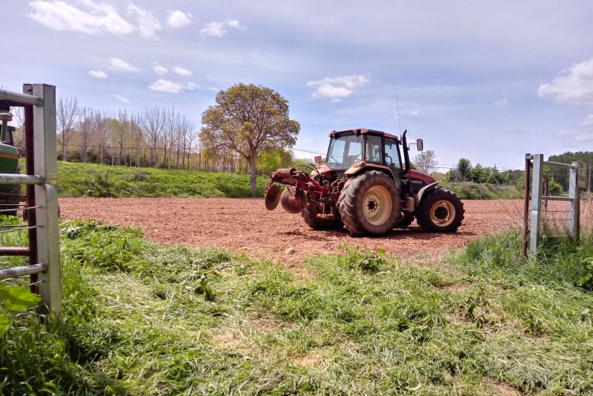 El Comité Económico y Social Europeo reclama una carta de derechos para las zonas rurales