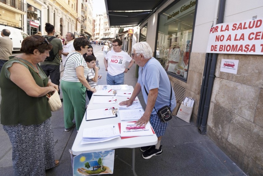 Los vecinos contrarios a la central de biomasa inciden en los daños a la salud