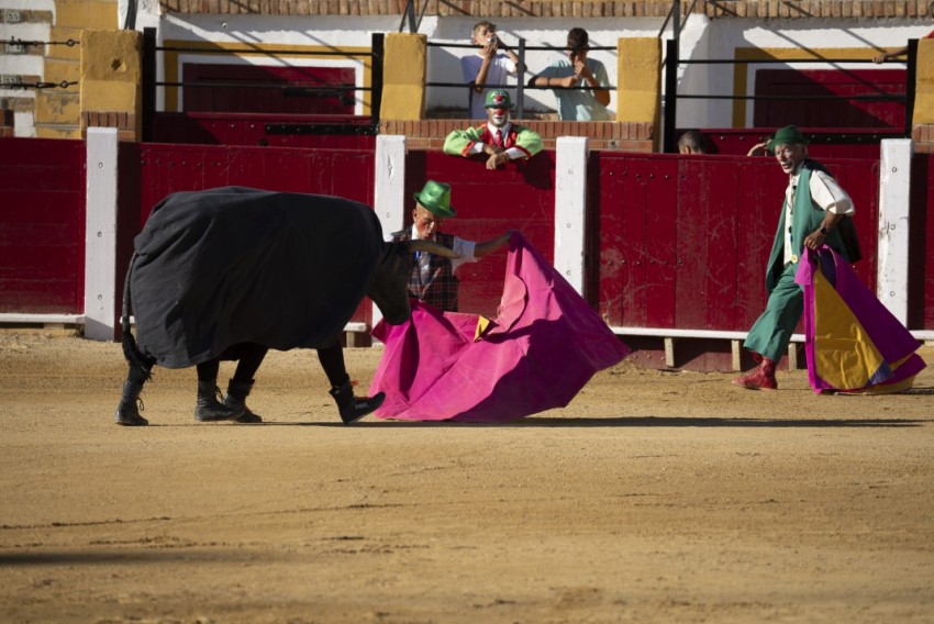 El Gobierno de Aragón dice que no puede negar la autorización a Popeye Torero