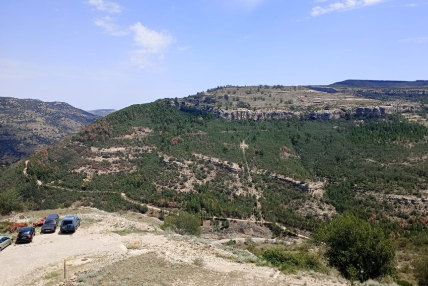 El decaimiento forestal por sequía afecta a masas de árboles de toda la provincia