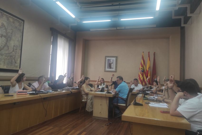 Alcañiz aprueba un plan  de gestión para 17 de las 42 colonias felinas que tiene