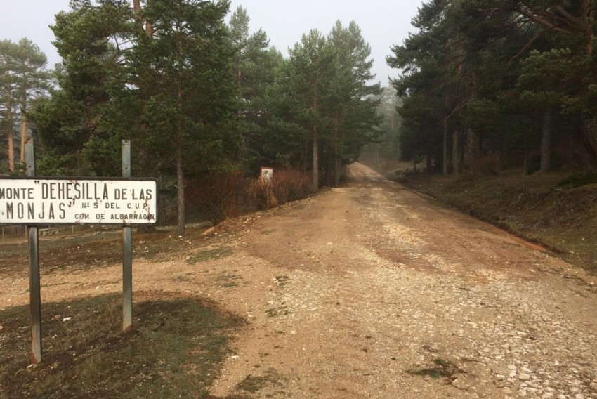 Albarracín y Cuenca seguirán litigando por el monte Entredicho tras la decisión que da la razón al municipio turolense