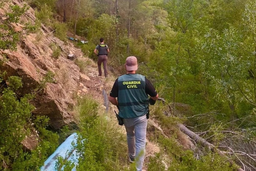 La Guardia Civil desmantela una plantación con 1.630 plantas de marihuana en el entorno del pantano de Santolea con un detenido