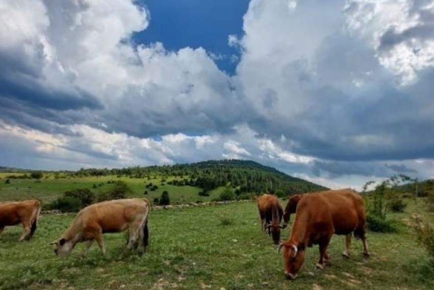 Agricultura ofrece formación a jóvenes en cuatro fincas agrícolas turolenses