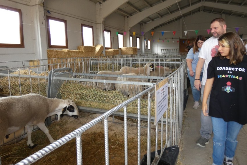 Cantavieja será el epicentro del sector ganadero con su 114 Feria