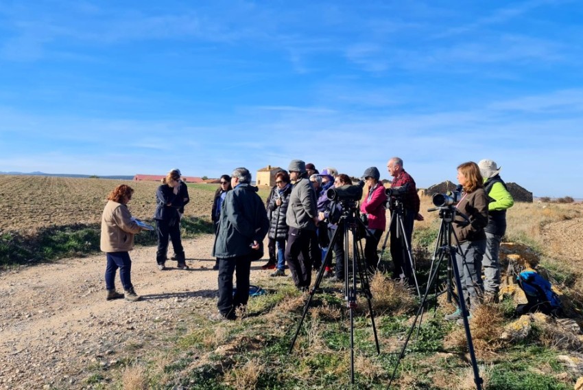 La laguna de Gallocanta se prepara para la llegada de las grullas