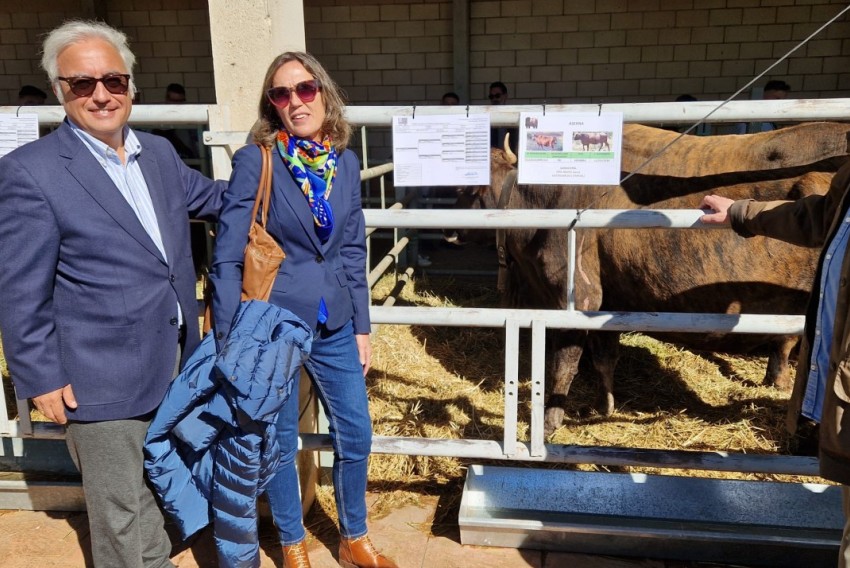 Rincón destaca la dimensión de la Feria Agrícola, Ganadera y Forestal de Cedrillas y su unión de tradición y vanguardia