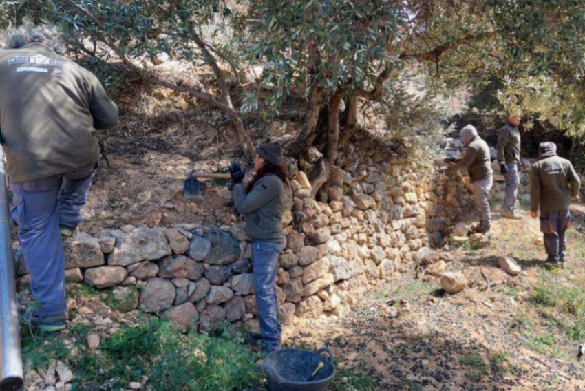 Biela y Tierra da visibilidad al Proyecto Piedra Seca del Senia