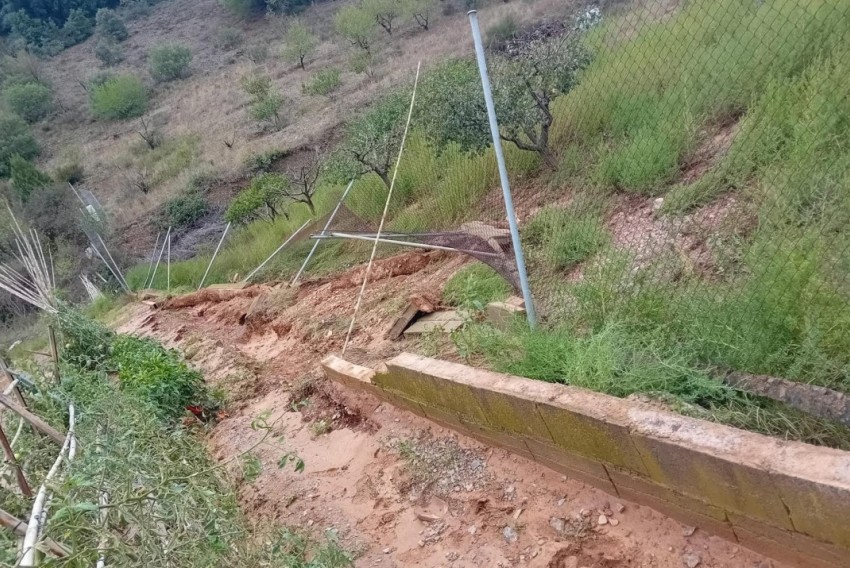 Agricultores y ganaderos de Báguena reclaman soluciones 