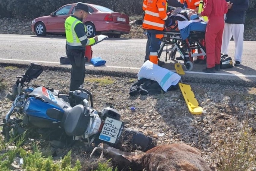 Un motociclista, herido grave, tras atropellar a un ciervo en el término municipal de Albarracín