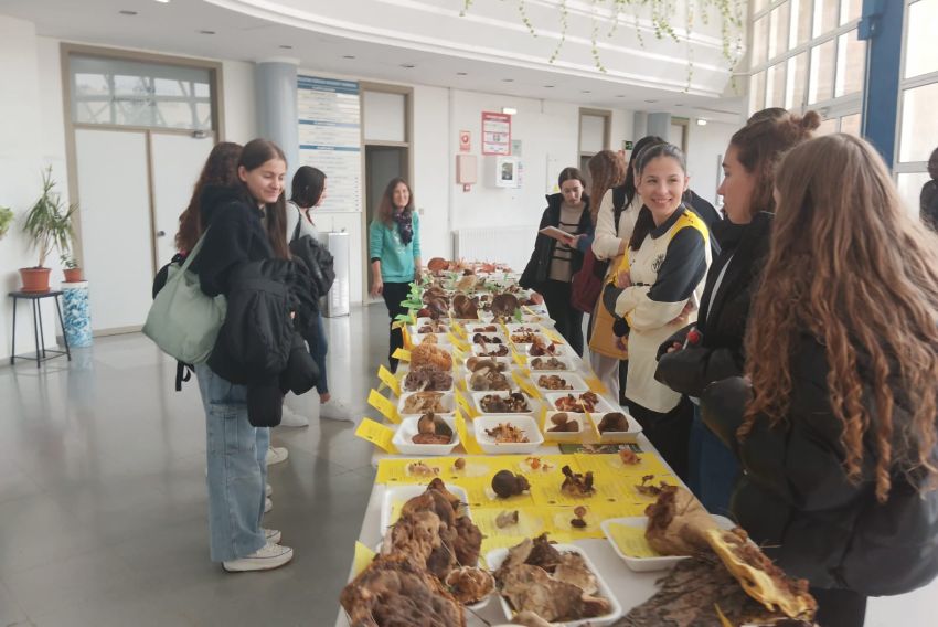 Las Jornadas Micológicas se hacen un hueco entre los aficionados estudiantes del Campus