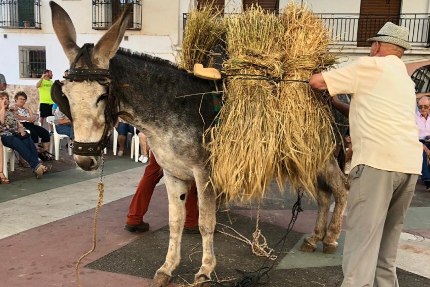 Torres celebra su orgullo rural sacando pecho de oficios y sabores del pasado