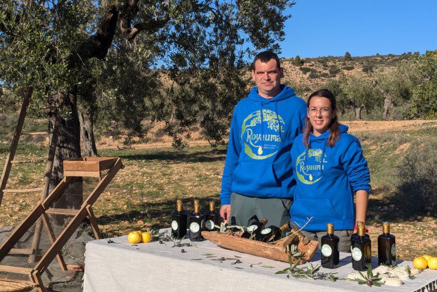 Javier Gracia y Marta Blesa, agricultores olivareros de Alloza: “La oliva royal sólo está en Alloza en todo el Bajo Aragón y por eso nuestro aceite es único”