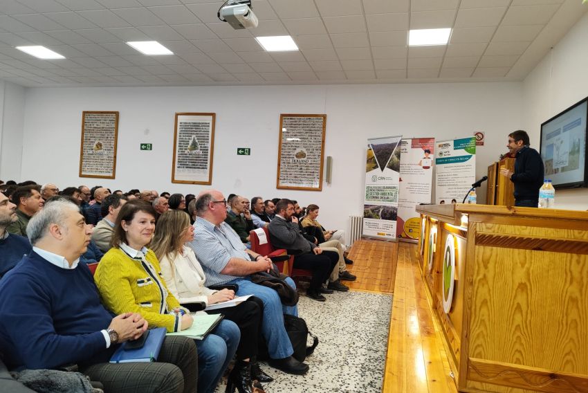 “El bosque parece específicamente diseñado para prevenir las avenidas torrenciales”