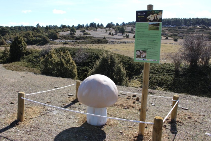 La Comarca del Maestrazgo estrena la Senda de las Setas