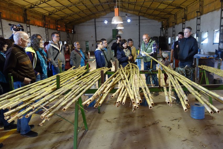 La Puebla de Híjar pone en valor la caña musical con Arundo Donax un año más