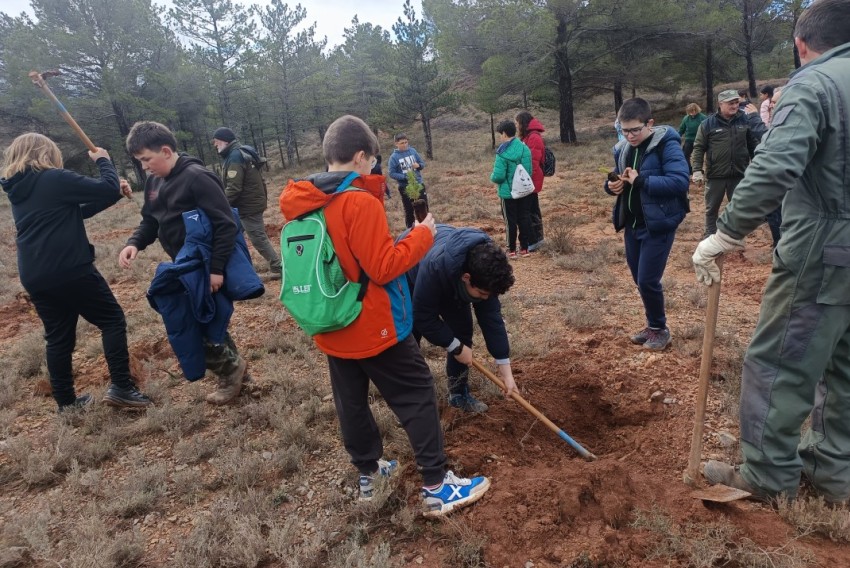 El Plan de Reforestación ha llegado a más  de la mitad de las hectáreas programadas