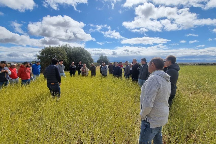 La DGA destina 850.000 euros para cooperativas agrarias por la sequía