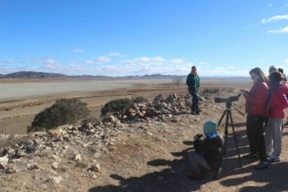 Las grullas pasan de largo este año por Gallocanta a causa de la sequía