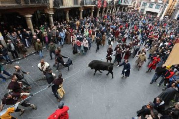 Dos toros negros y uno colorao llenan de emoción el Torico con el ensogado nupcial de Las Bodas de Isabel