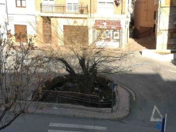 El Ayuntamiento de Teruel trabaja en un inventario de las zonas ajardinadas de la ciudad