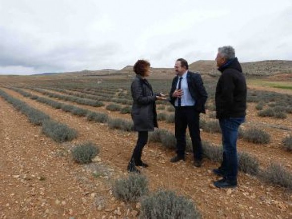 El presidente de la Diputación de Teruel visita los centros especiales de empleo de la Fundación Térvalis