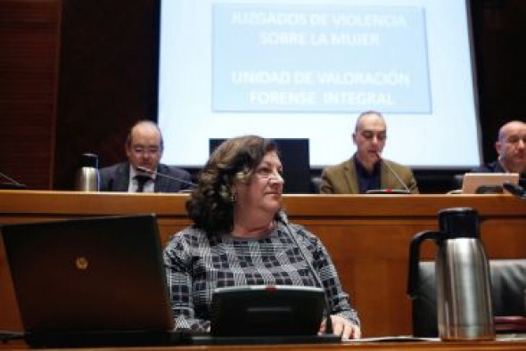 La unidad provincial de valoración forense de violencia de género de Teruel atiende 14 casos desde su creación