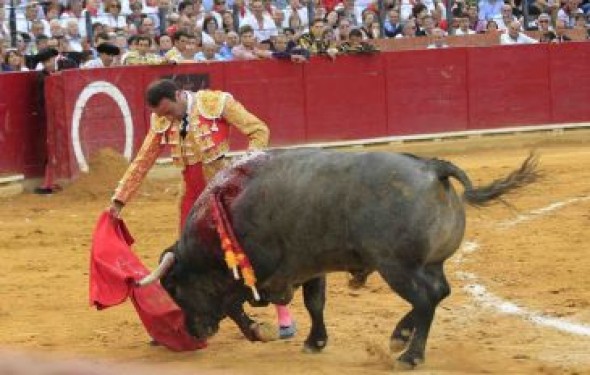 Talavante, Ponce, Roca Rey o Manzanares, en los carteles de los aspirantes a Teruel