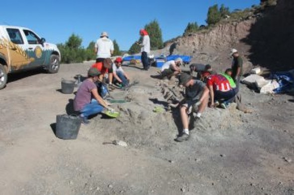 El Gobierno de Aragón reconoce al equipo de la Fundación Dinópolis como Grupo de Investigación de Referencia