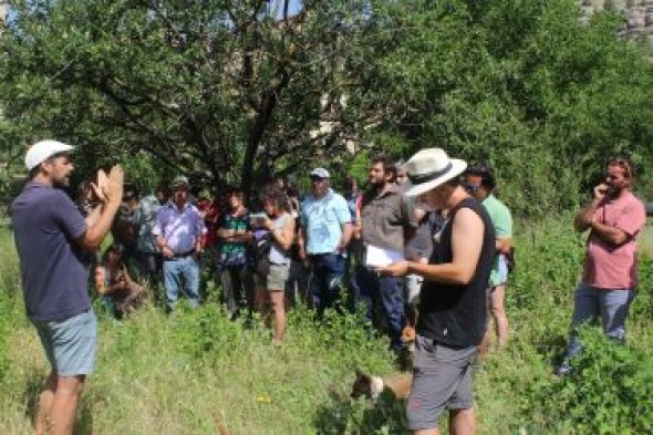 Olba explora en las variedades de fruta autóctonas como futuro a la agricultura