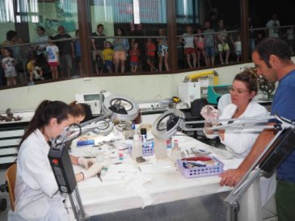 Quince años formando a universitarios en la Fundación Dinópolis durante los veranos