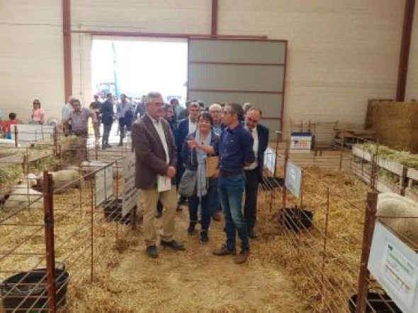 El consejero de Desarrollo Rural inaugura la Feria de Cedrillas: Es preciso eliminar los derechos históricos de la PAC