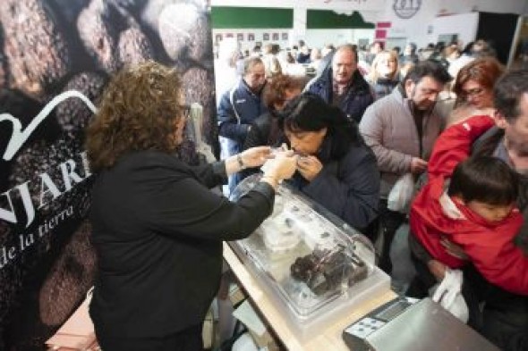 El panel de cata se estrena valorando las trufas del concurso de Fitruf en Sarrión