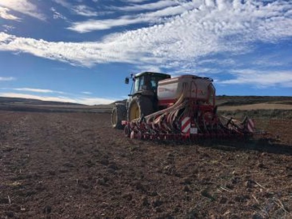 Asaja alerta del grave peligro que corre la cosecha de cereal de secano en amplias zonas de Teruel por la falta de lluvias