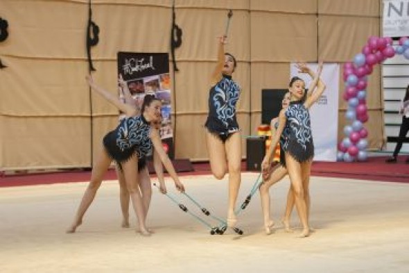 Cerca de 1.300 gimnastas se citan en el tapiz de Teruel