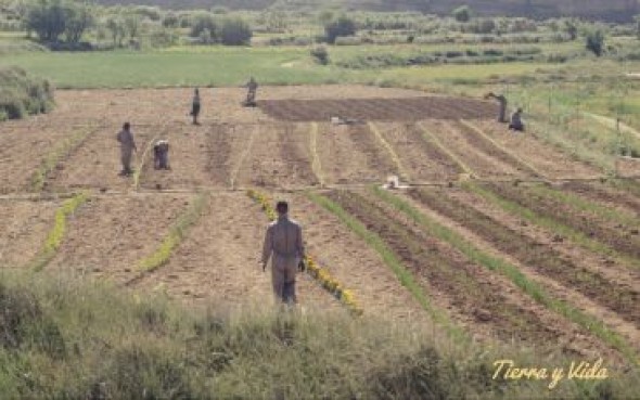 El Inaem aporta la formación al renacer conservero de Alacón