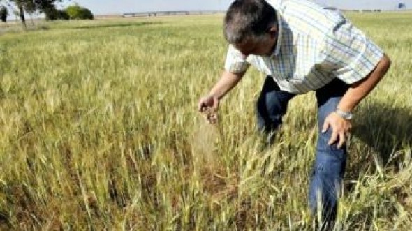 El Programa de Fomento de Empleo Agrario destina a Teruel 160.000 euros