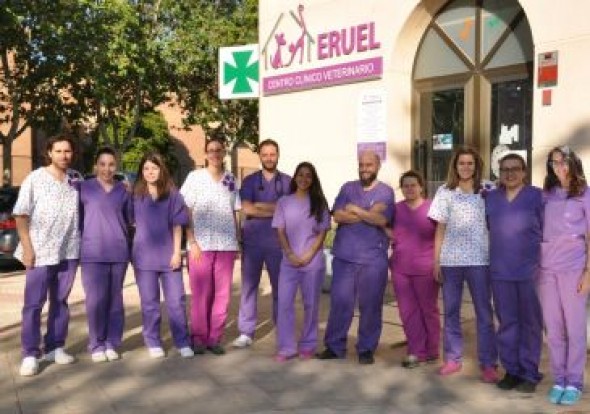 La puntera medicina veterinaria que se hace desde Teruel ya es un referente