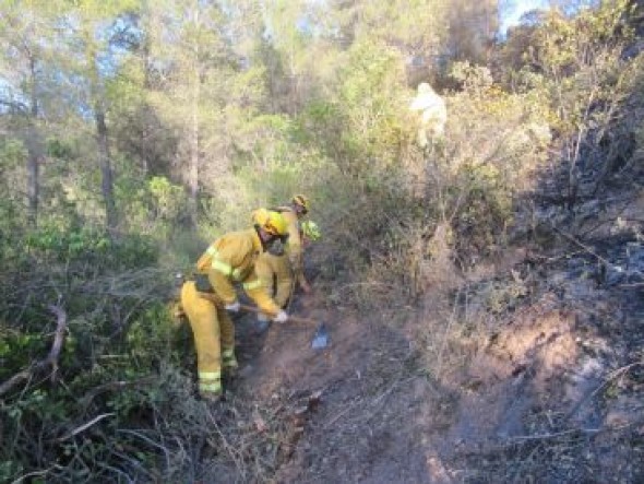 Teruel, la provincia aragonesa con menos hectáreas quemadas en 2019