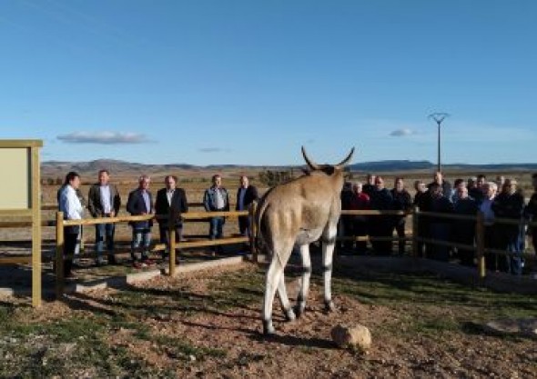 La comarca Comunidad de Teruel impulsa el Safari por la Sabana del Turoliense en el municipio de El Pobo