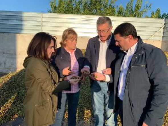 El PP de Teruel critica que Sánchez no ha defendido el sector de la oliva y el aceite español