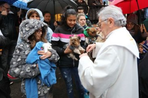 Un centenar de animales reciben la bendición de San Antón en Teruel