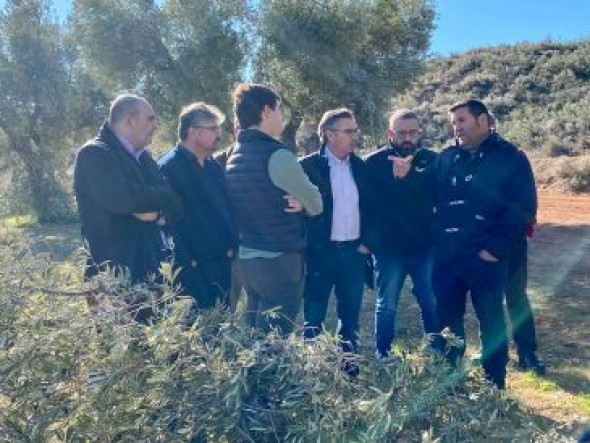 Beamonte (PP) visita zonas afectadas por la borrasca en Teruel y exige ayudas directas para proteger al sector primario