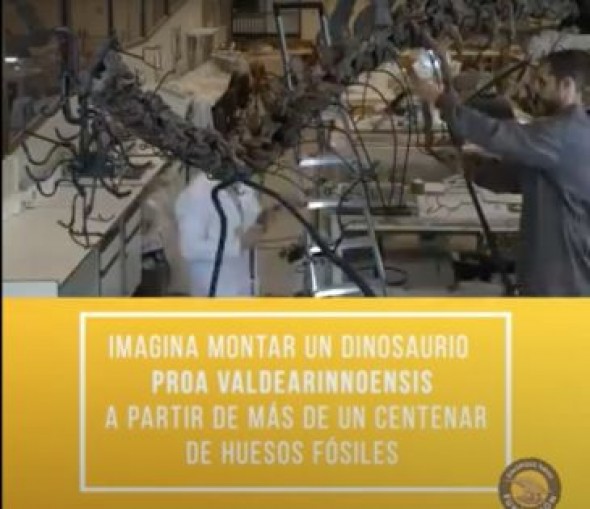 El entretenimiento de Dinópolis con los dinosaurios sigue vivo en las redes sociales